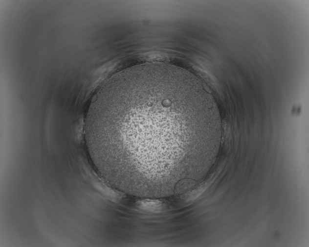 X0000090600189200707311209