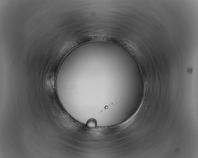 X0000090600190200707311209