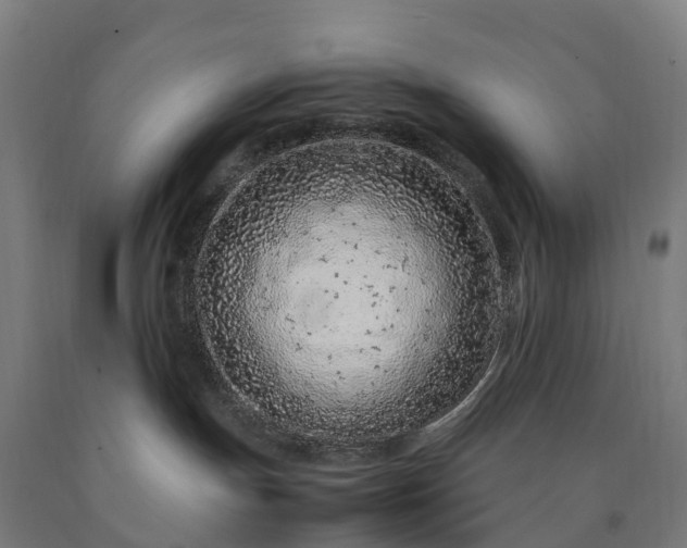 X0000090600191200707311209