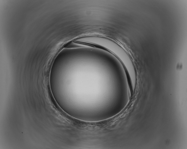 X0000090600193200707311208