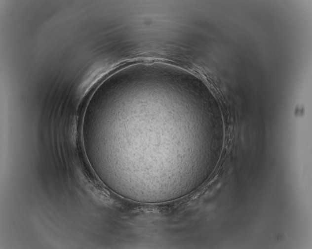 X0000090600194200707311208