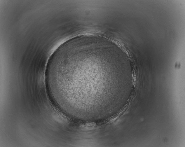 X0000090600196200707311208