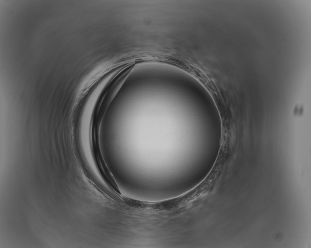 X0000090600197200707311208