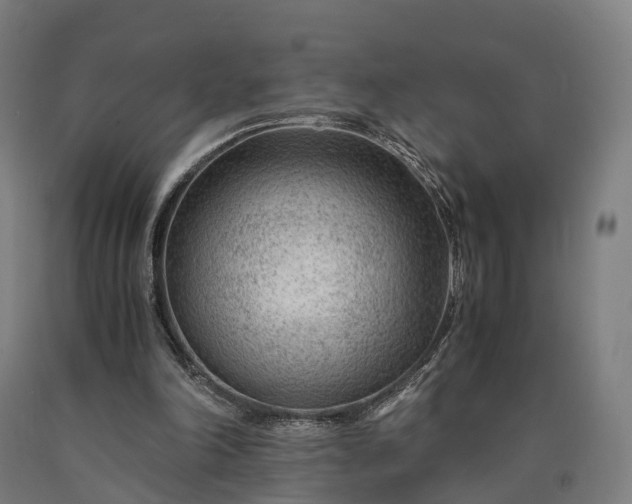 X0000090600198200707311208