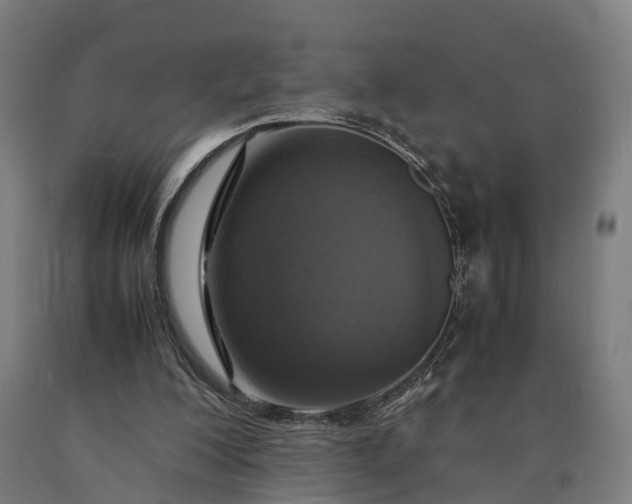 X0000090600200200707311208