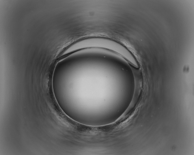 X0000090600201200707311208