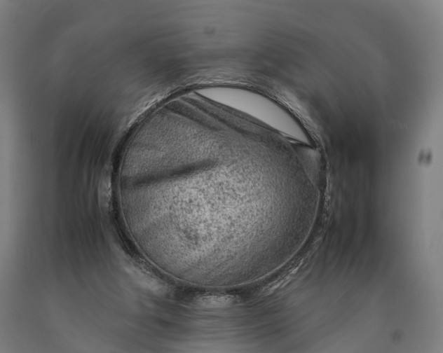 X0000090600202200707311208