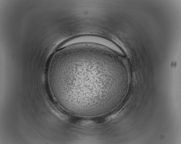 X0000090600203200707311208