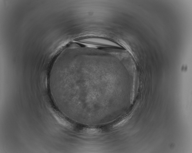 X0000090600205200707311208