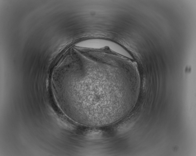 X0000090600206200707311208