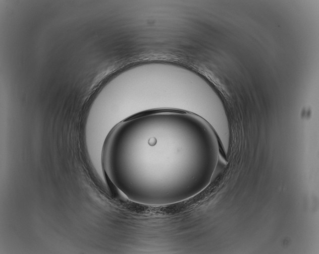 X0000090600207200707311208