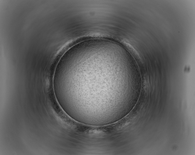 X0000090600208200707311208