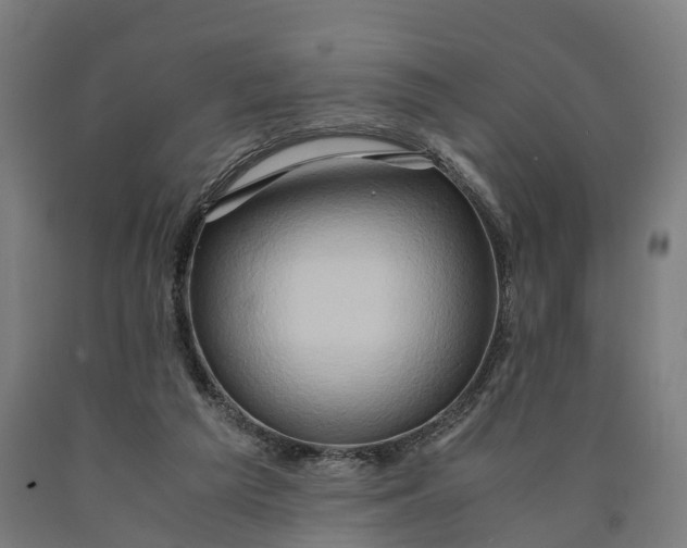 X0000090600209200707311208