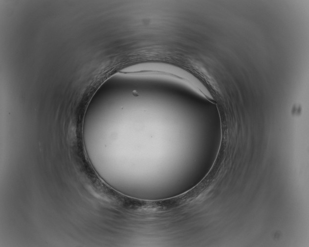 X0000090600213200707311208