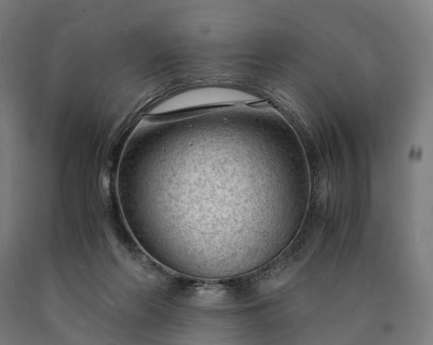 X0000090600214200707311208