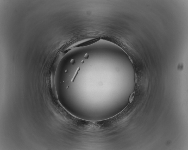 X0000090600215200707311208