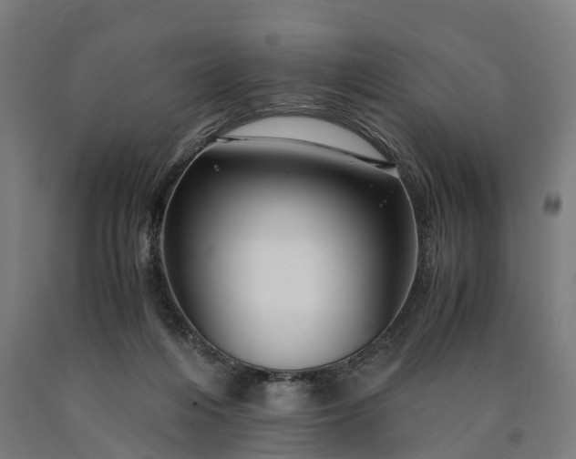 X0000090600216200707311208