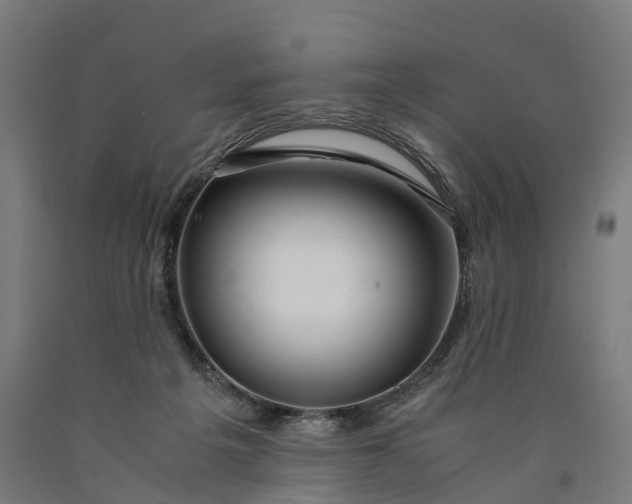 X0000090600217200707311208