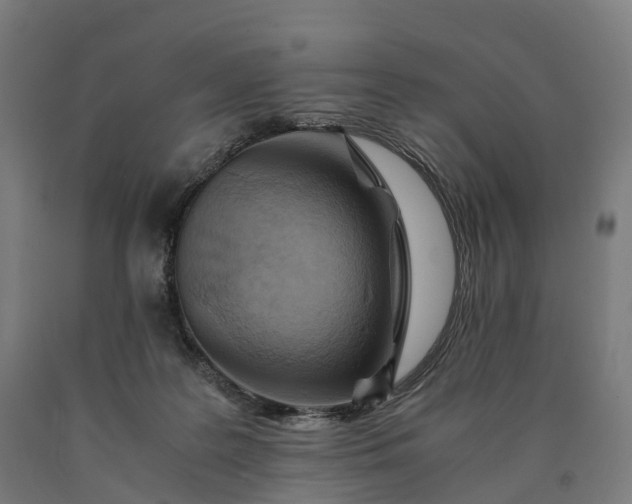 X0000090600219200707311208