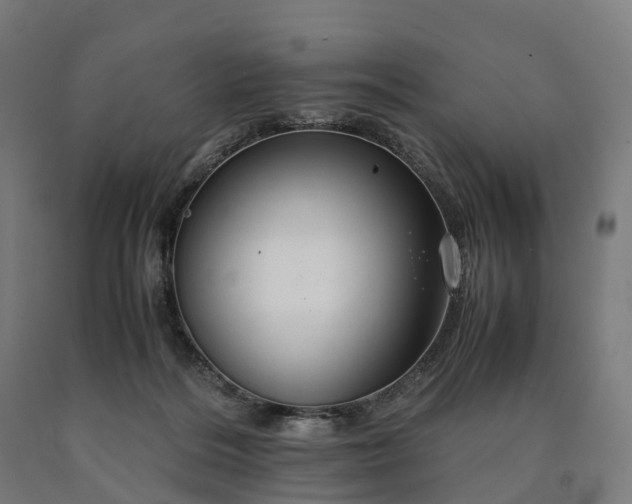 X0000090600220200707311208