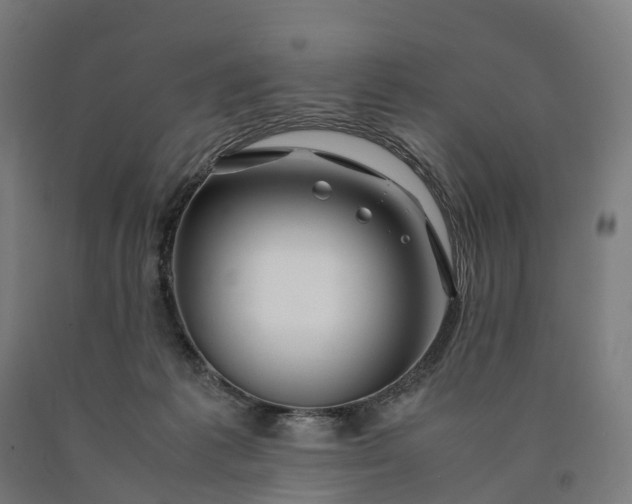 X0000090600221200707311208