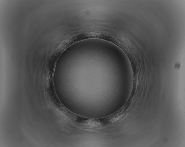 X0000090600223200707311208