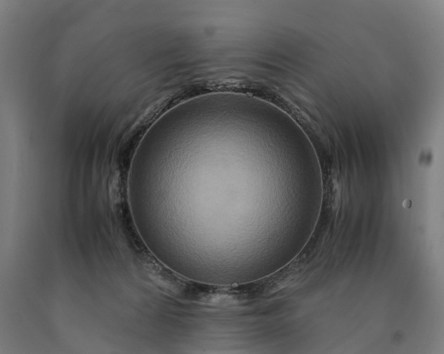 X0000090600224200707311208