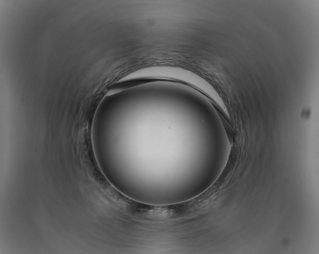 X0000090600225200707311208