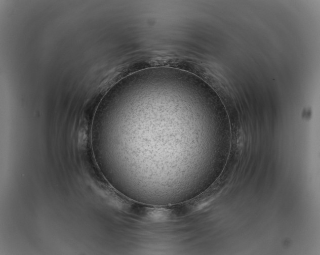 X0000090600226200707311208