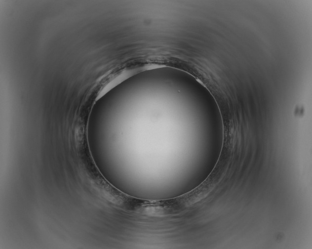 X0000090600228200707311208