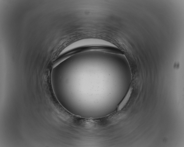 X0000090600229200707311208