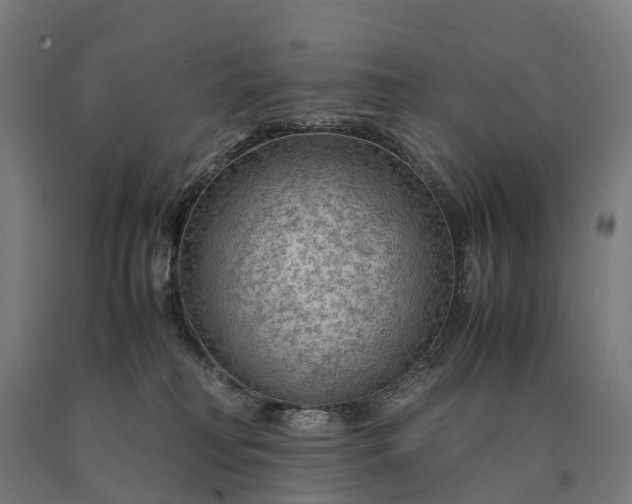 X0000090600230200707311208