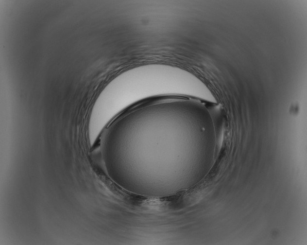 X0000090600231200707311208