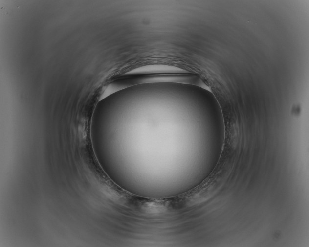 X0000090600232200707311208