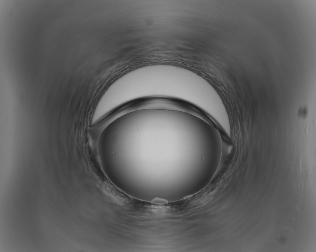 X0000090600233200707311208