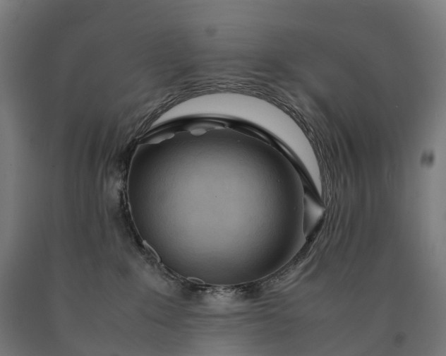 X0000090600235200707311208