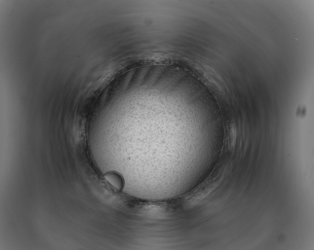 X0000090600236200707311207