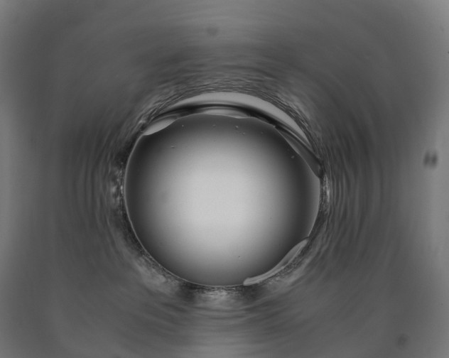 X0000090600237200707311207