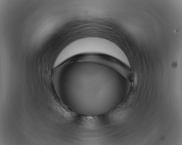 X0000090600239200707311207