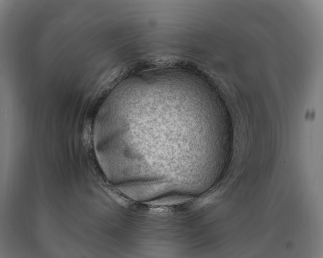 X0000090600240200707311207