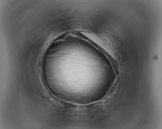 X0000090600241200707311207