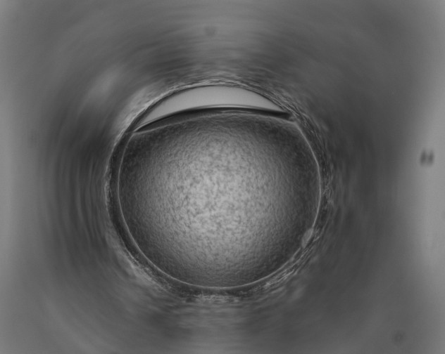 X0000090600242200707311207