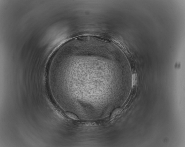 X0000090600243200707311207