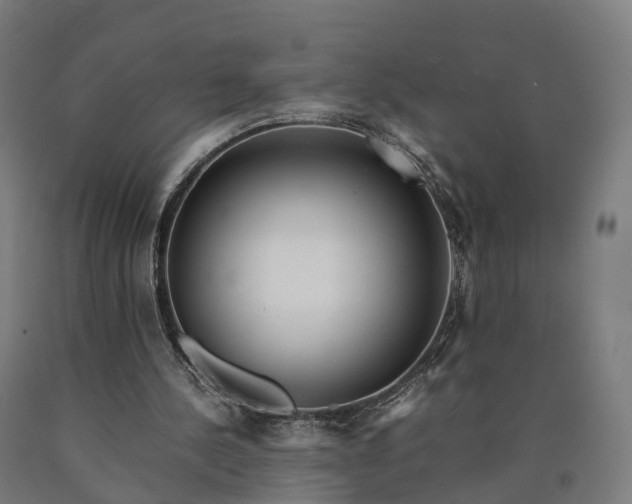 X0000090600244200707311207