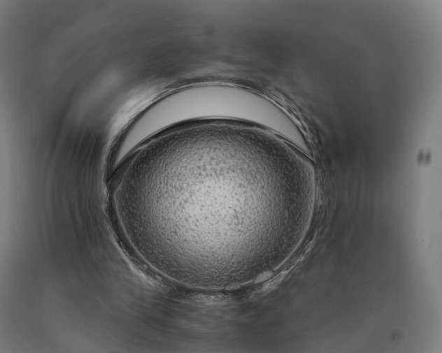 X0000090600245200707311207