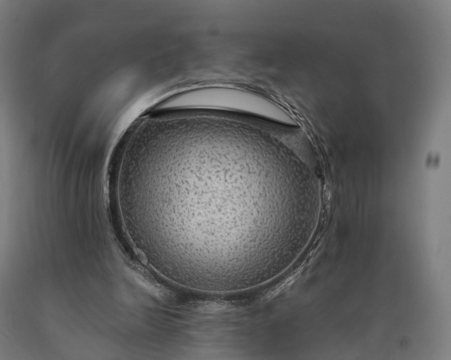 X0000090600246200707311207