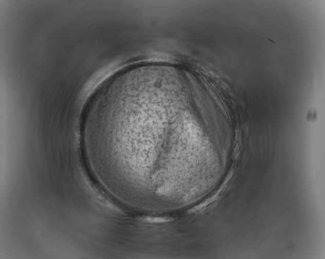 X0000090600247200707311207