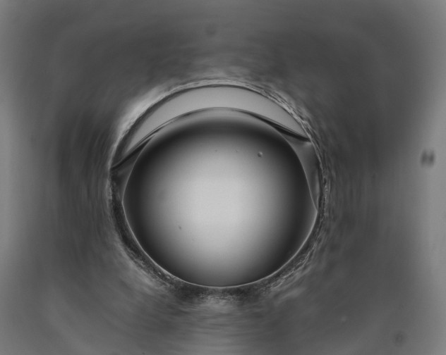 X0000090600248200707311207