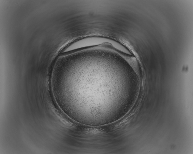 X0000090600249200707311207