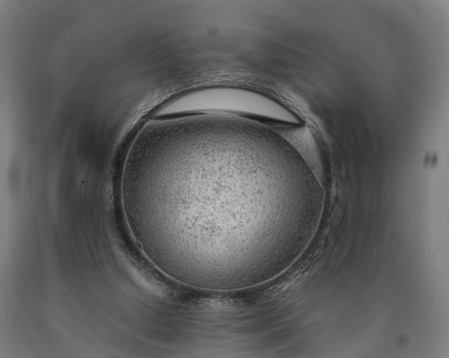 X0000090600250200707311207